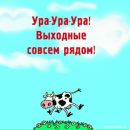 Фотография Светлана Курочкина