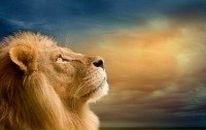 Денис Іванов фотография #2 (источник - https://vk.com/id49665113)