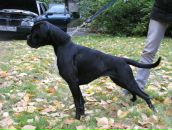 Фотография Власовой Марины