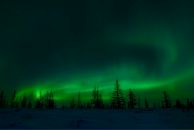 Фотография Самылкиной Юлии