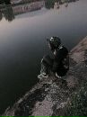 Вася Магдіч фотография #6 (источник - https://vk.com/id54679269)