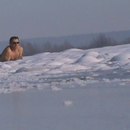 Міша Федоришин фотография #1