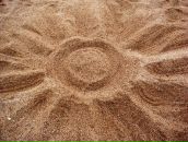 Фотография Злотницкой Анны