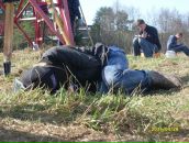 Дмитрий Петров фотография #38 (источник - https://vk.com/id2412671)