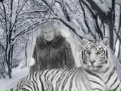 Фотография Цветковой Натальи