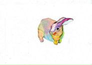 Фотография Gorodnova Tanette