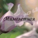 Яна Антошкіна фотография #11 (источник - https://vk.com/id44371917)