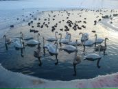 Людмила Кудлій фотография #30 (источник - https://vk.com/id11343453)