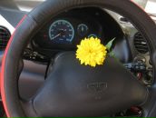 Фотография Вячеславовны Валерии