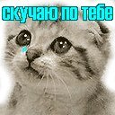 Жанна Півторак фотография #20 (источник - https://vk.com/id32517124)