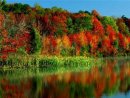 Оксана Білик фотография #3 (источник - https://vk.com/id12857814)