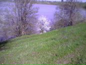 Фотография Сидориной Ирины