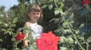 Едуард Малашкін фотография #34 (источник - https://vk.com/id45512707)