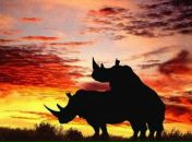 Фотография Ламакина Михаила