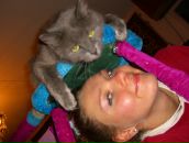 Фотография  