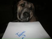 Тарас Мілованов фотография #32 (источник - https://vk.com/id76539552)