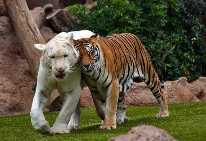 Дмитрий Орлов фотография #28