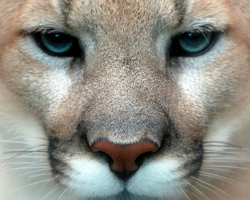 Владислав Постников фотография #40