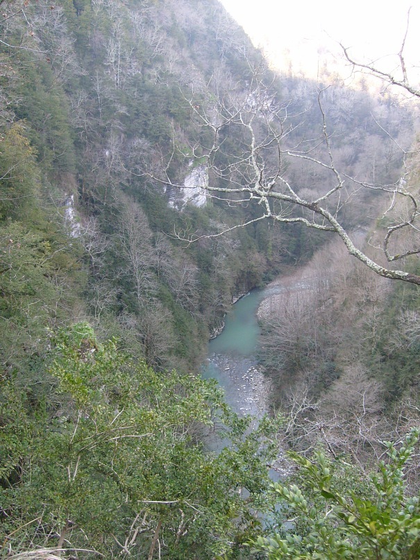 Дмитрий Белый фотография #33