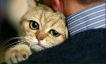 Фотография Mozolkin Simon