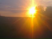 Дмитрий Цой фотография #33 (источник - https://vk.com/id1336740)