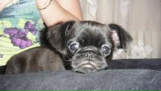 Фотография Стецюк Екатерины