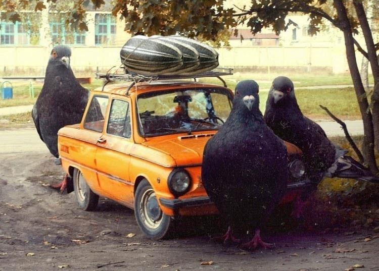 Игорь Святой фотография #33