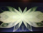 Крістіна Яворська фотография #1