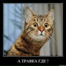 Фотография Колпакова Романа