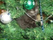 Виктор Трусов фотография #6 (источник - https://vk.com/id2997308)