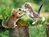 Фотография Морозовой Дины