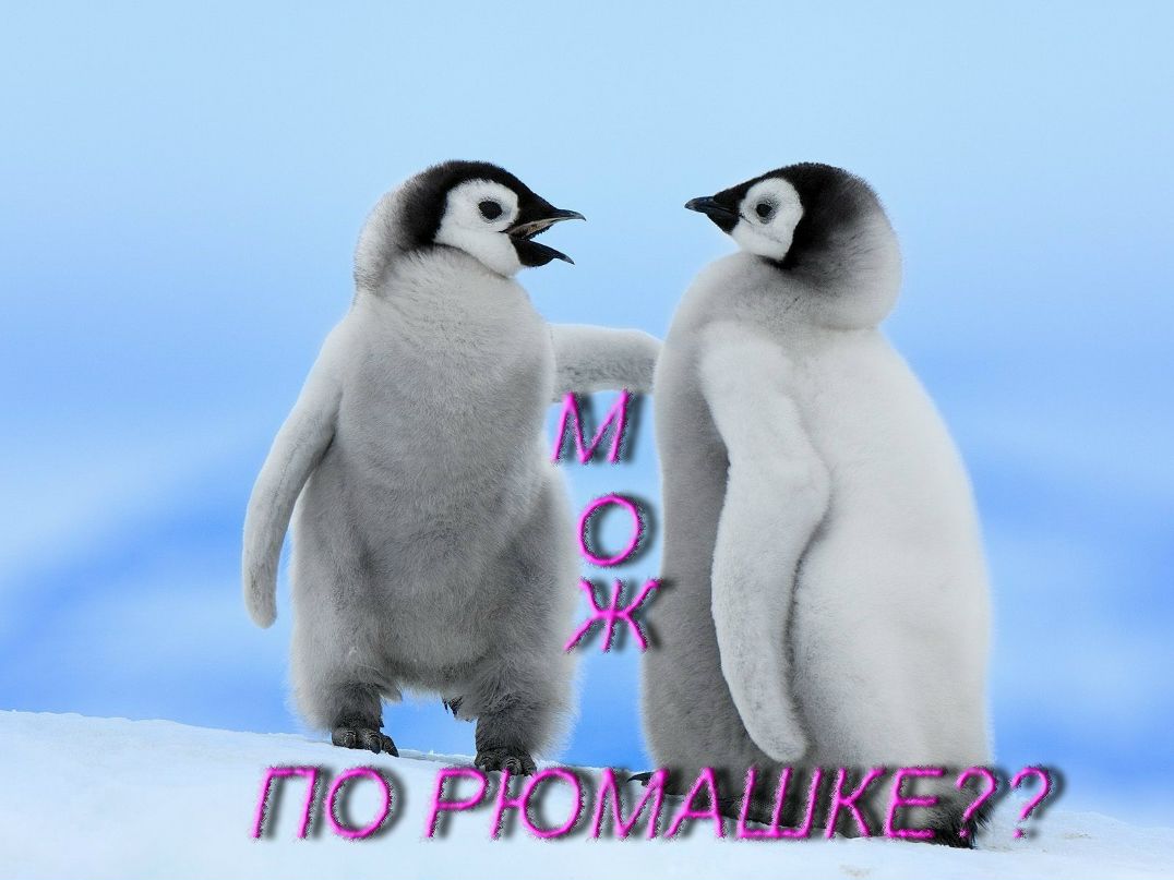 Дмитрий Кошик фотография #13