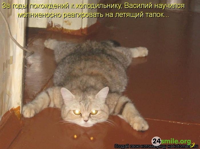 Ivan Vik фотография #9