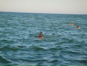 Аліна Матчук фотография #26 (источник - https://vk.com/id4305772)