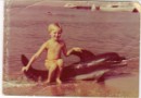 Фотография Соколов Алексей