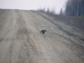 Сергей Репьёв фотография #2 (источник - https://vk.com/id4484013)