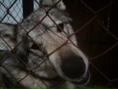 Юра Пічего фотография #29 (источник - https://vk.com/id55795088)