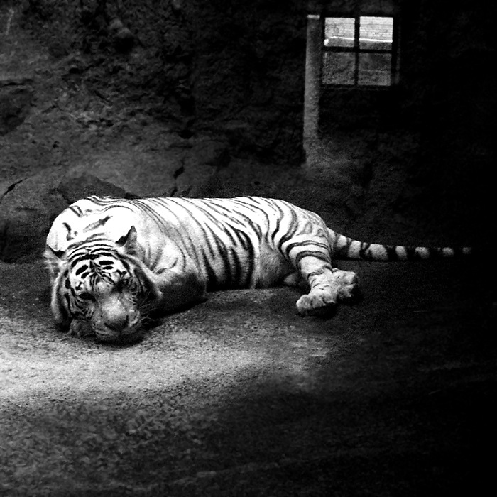 Владимир Доценко фотография #4