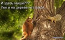 Євген Варода фотография #33 (источник - https://vk.com/id59447228)