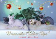 Фотография Якуниной Лины