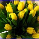 Аліночка Бойко фотография #8 (источник - https://vk.com/id146997245)