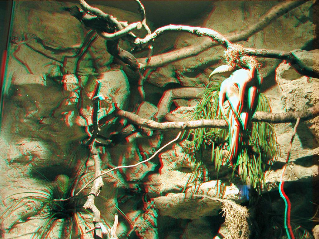 Дмитрий Малик фотография #15