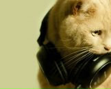 Фотография Медведева Николая