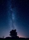 Фотография Крик Екатерины