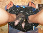 Фотография  