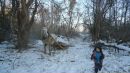 Фотография Сарбулатова Ильнура