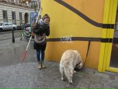 Viento Norte фотография #18 (источник - https://vk.com/id4030273)