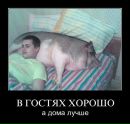 Олег Песцов фотография #41 (источник - https://vk.com/id22789648)