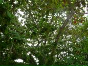 Валерий Иванов фотография #24 (источник - https://vk.com/id3000426)