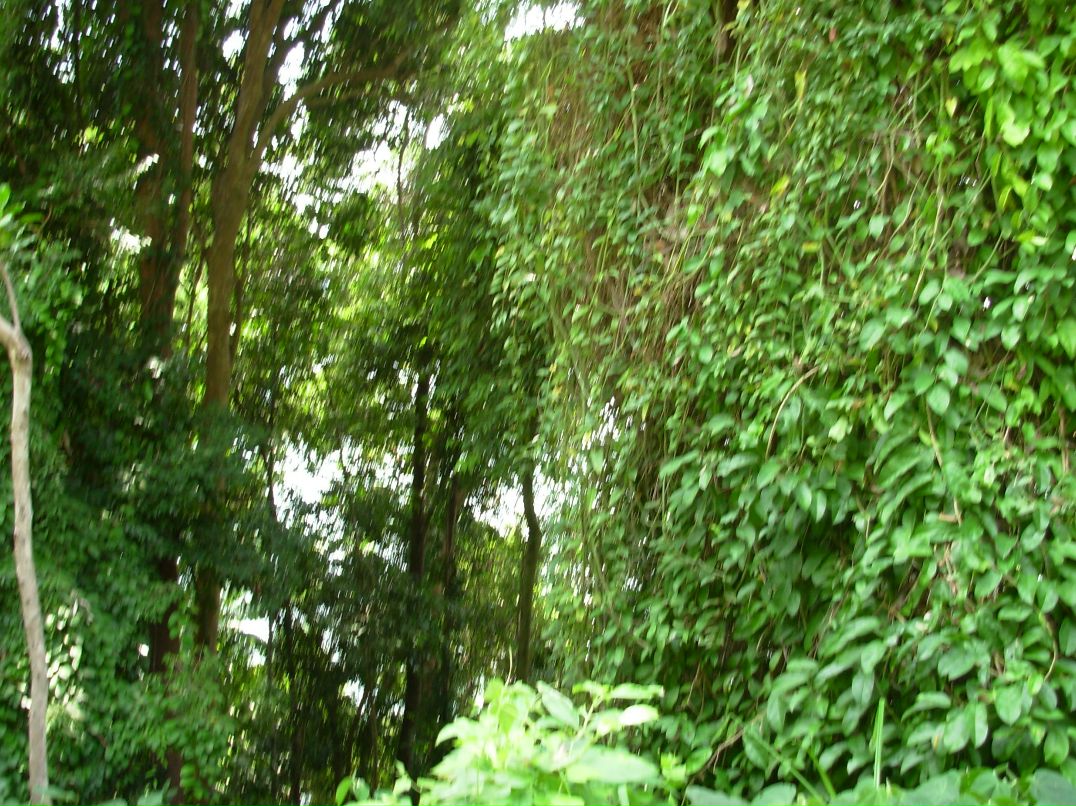 Валерий Иванов фотография #20